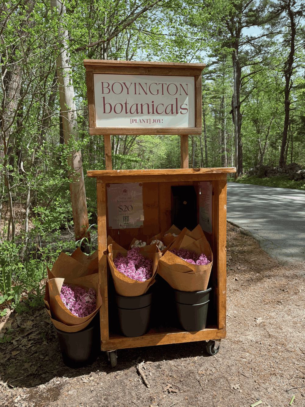 Boyington Botanicals
